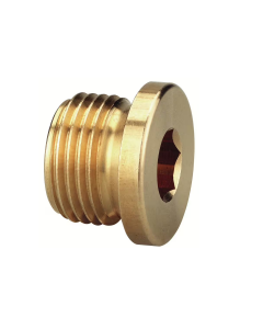 Śruba zamykająca VSS-G1/2a Schneider