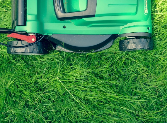 Jaka żyłka do kosy?